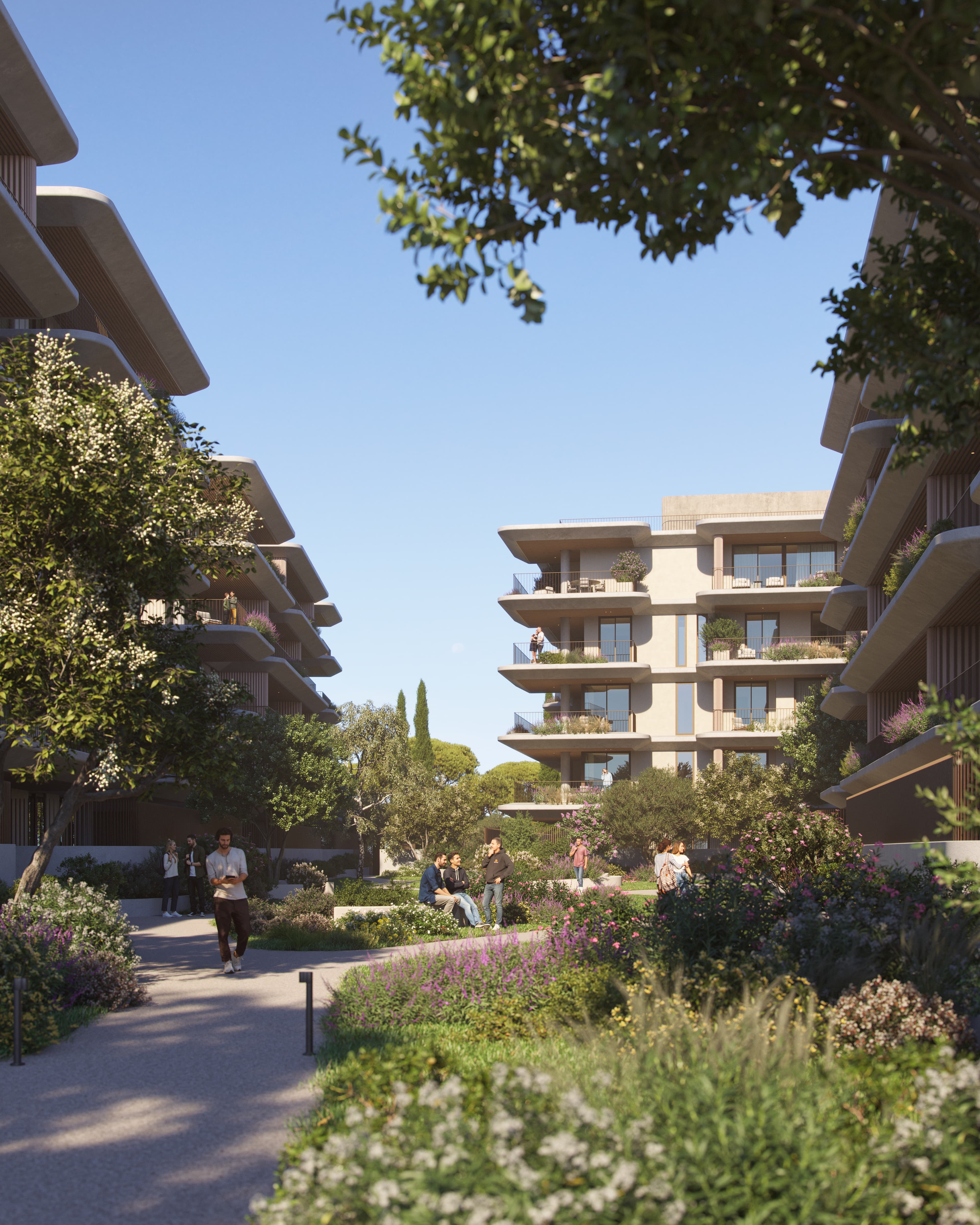 The courtyard