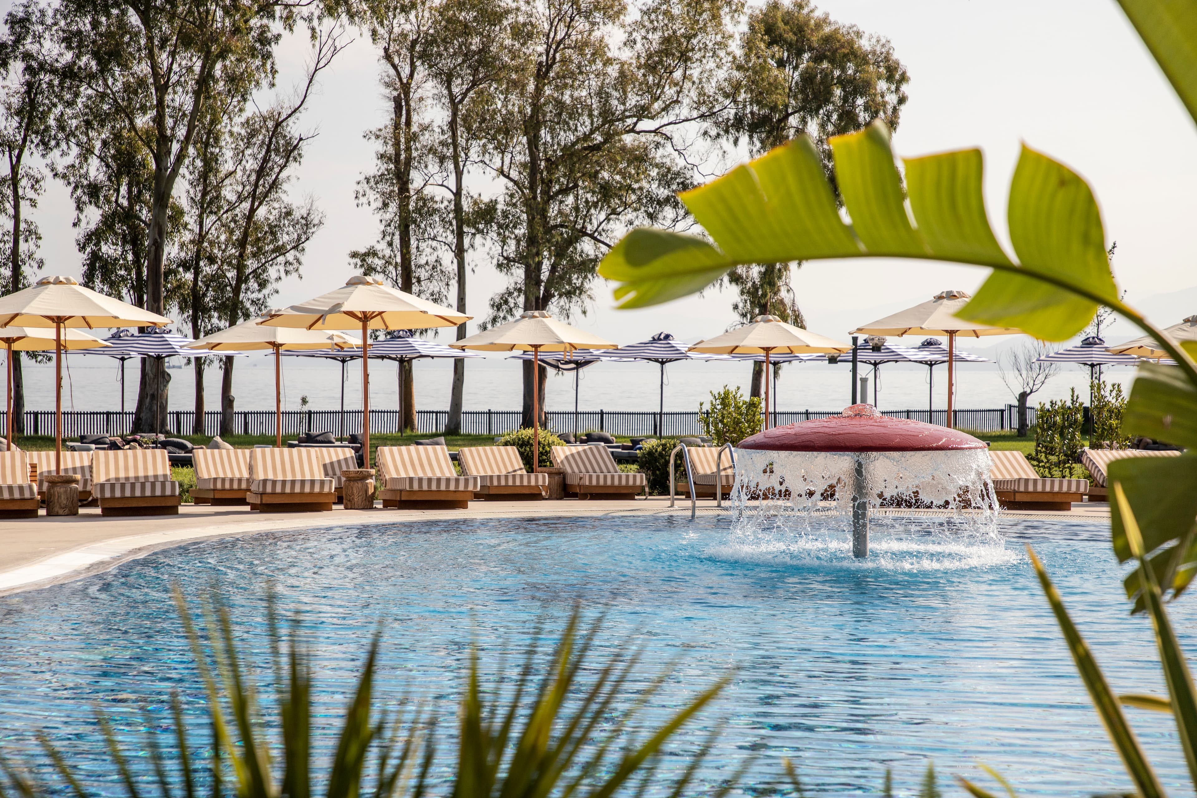 Kerkyra Blue Hotel - poolside