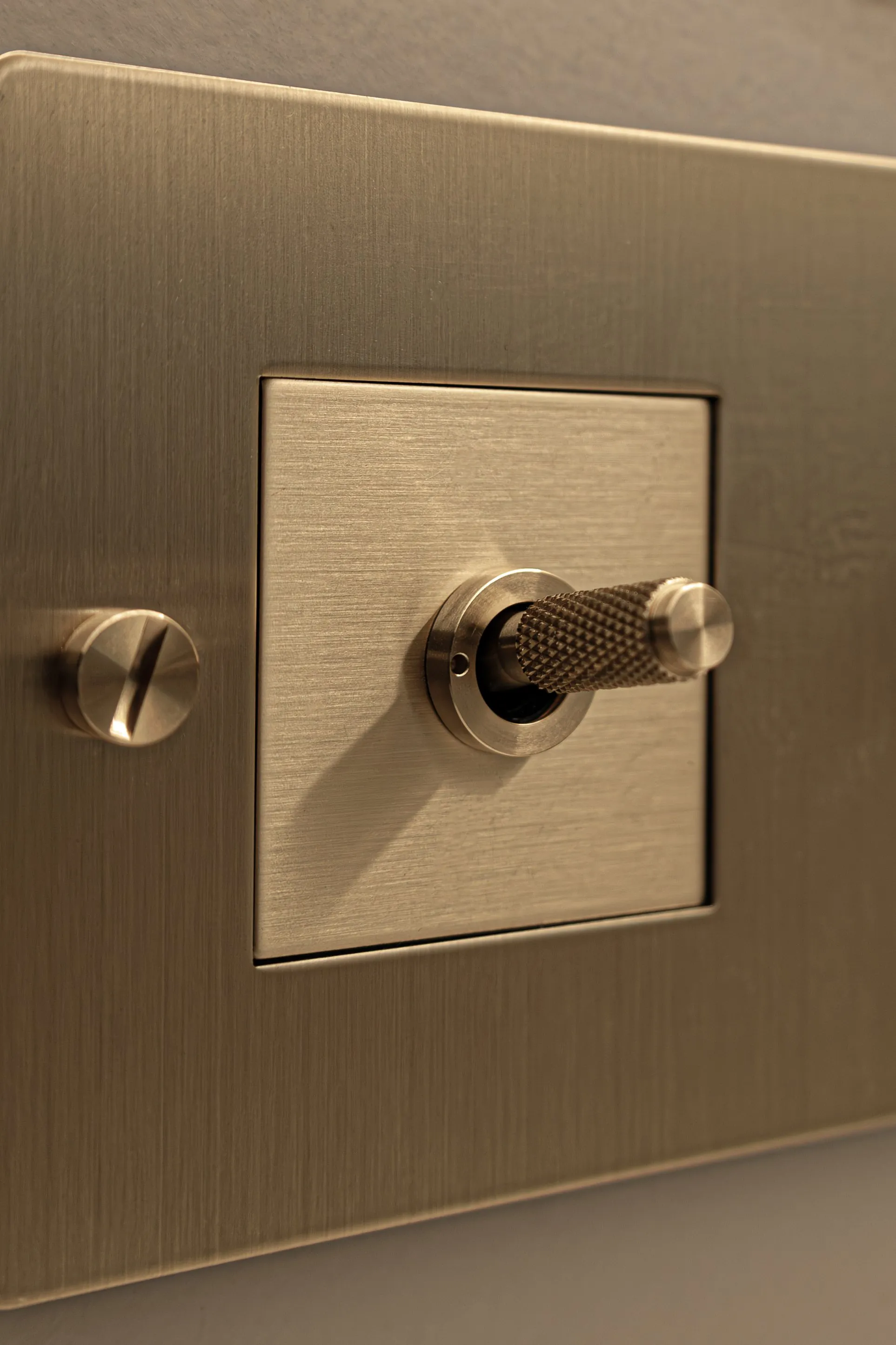 Brushed brass toggle switch