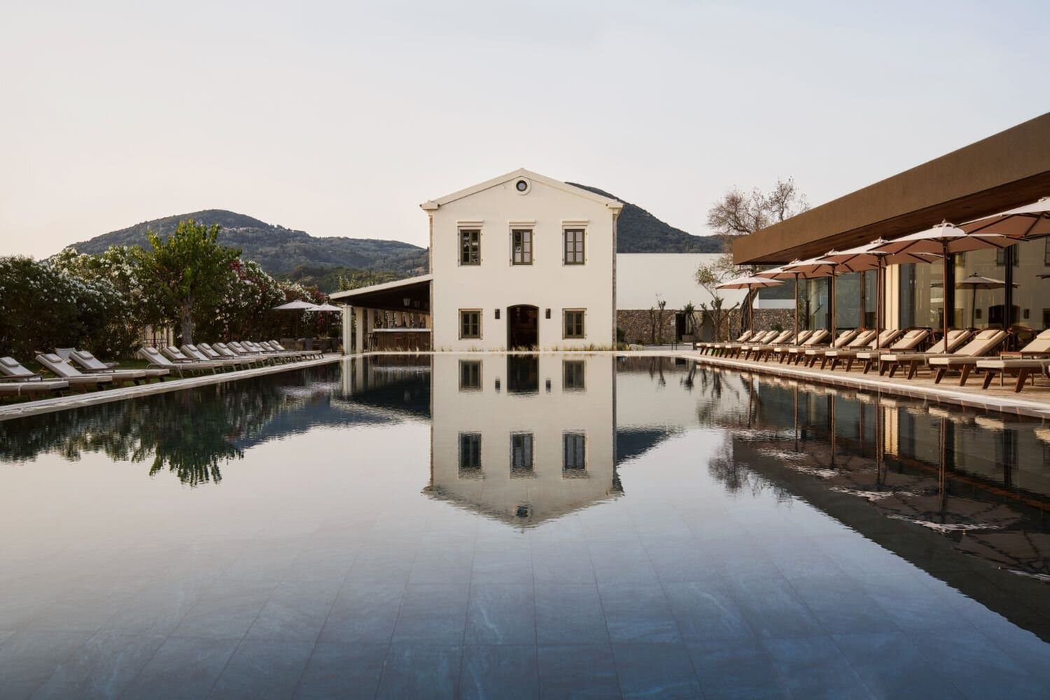 Olivar Suites