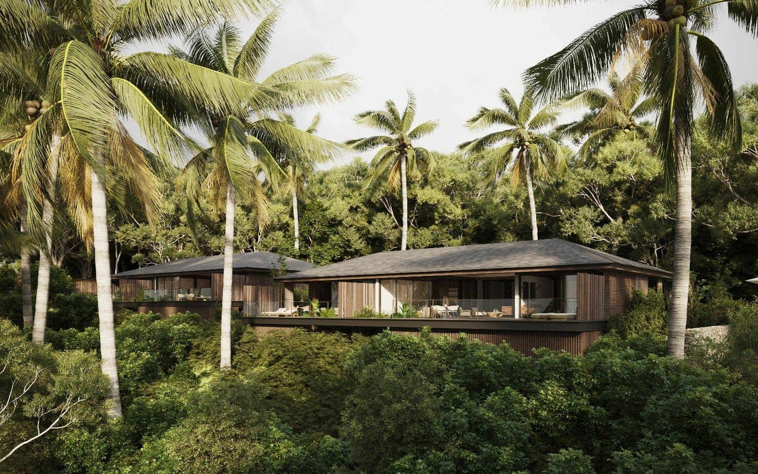 Executive Suite villas nestled in the palm canopy